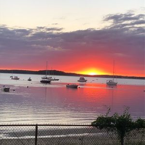 Meet your Posher, Amelia